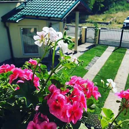 Casa Moldovan