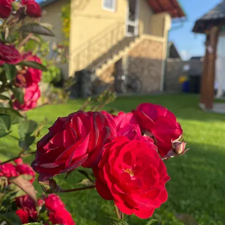 Casa Moldovan