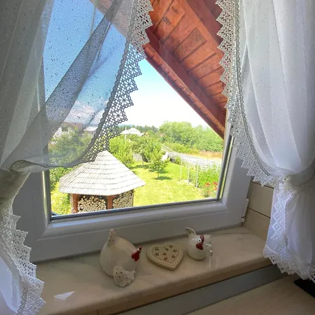Casa Moldovan Vendégház Aknasugatag